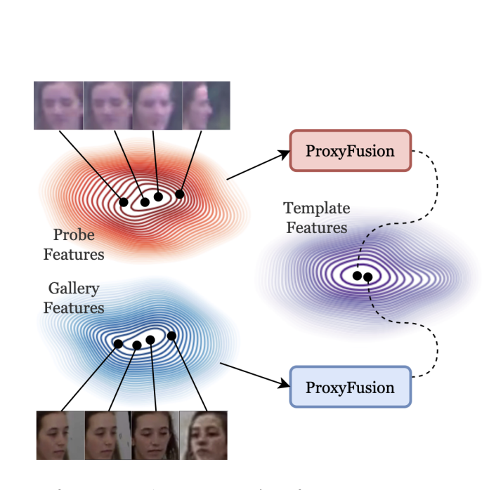 ProxyFusion paper figure